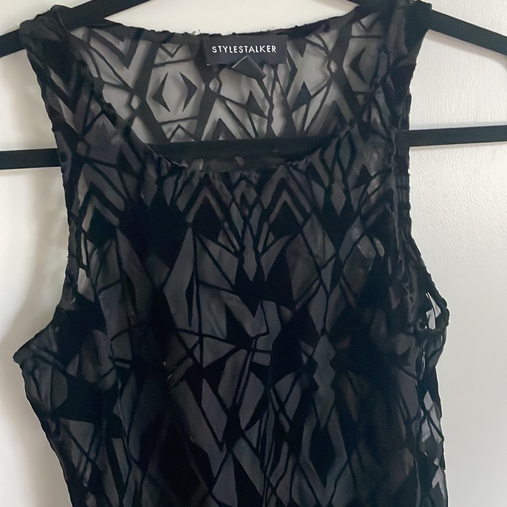 Stylestalker Asymmetrical Sheer Velvet Dress
